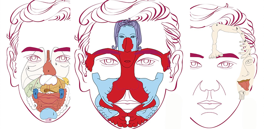 Illustration de la réfléxologie faciale