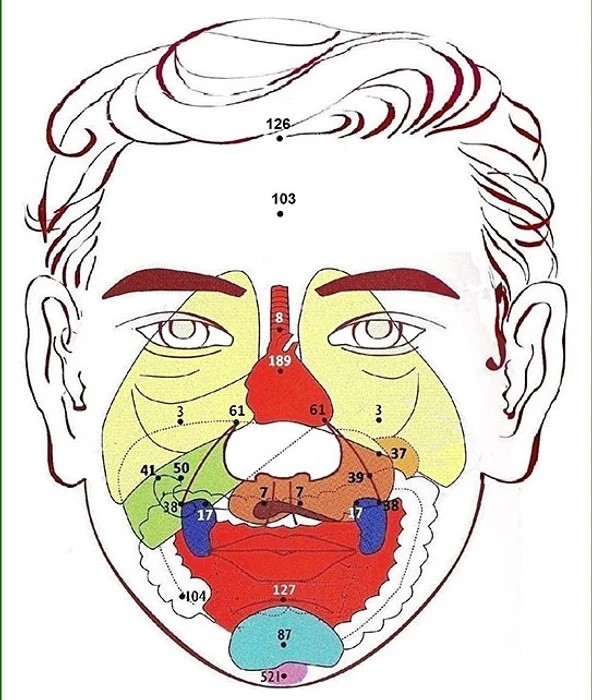 Illustration de la réflexologie faciale